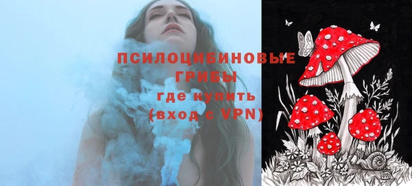 соль курить ск Алексин
