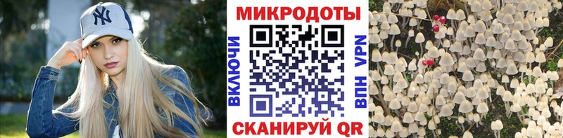 купить наркоту Лениногорск Галлюциногенные грибы MAGIC MUSHROOMS